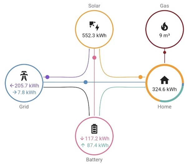 Figuur 2: Met een EMS kunnen de historische energiestromen in een gebouw gevisualiseerd worden. In dit voorbeeld worden gas en elektriciteit getoond over een periode van een maand.